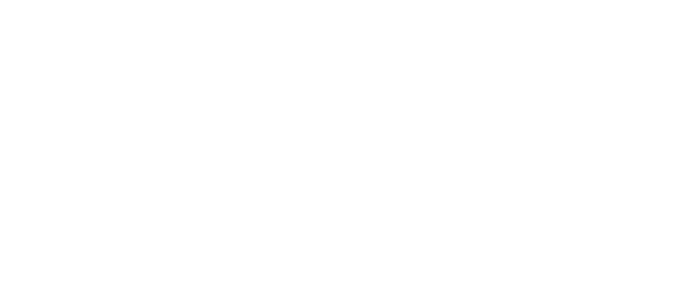 Ponotto Logo